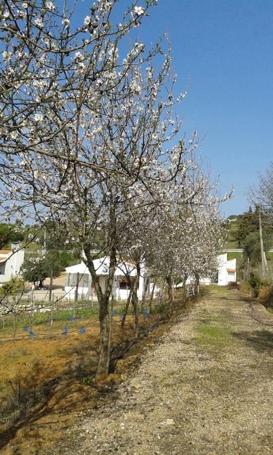 Holiday Home Monte Das Azinheiras Arraiolos Luaran gambar